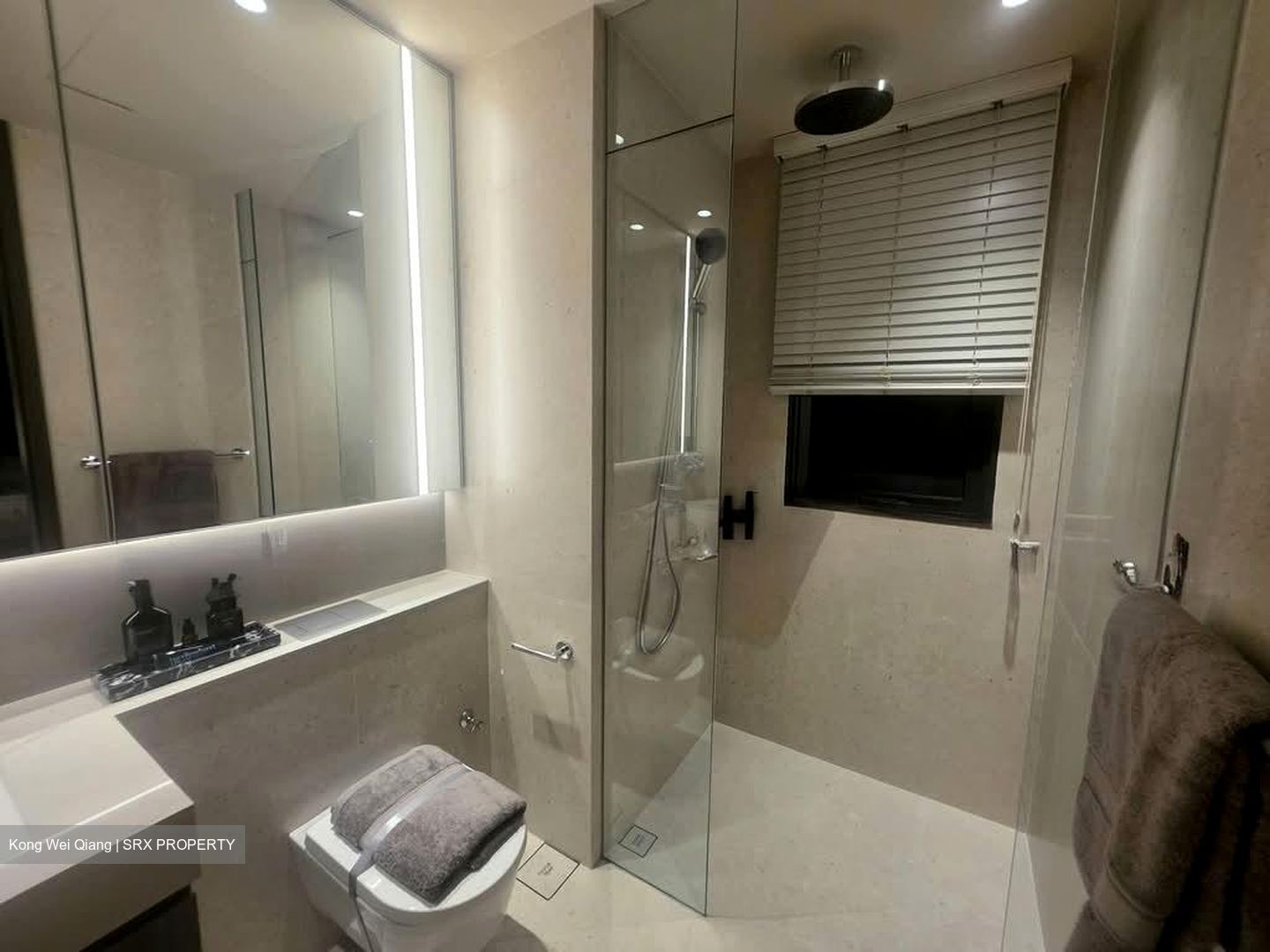 Hudson Place Residences (U/C) (D5), Apartment #598174511